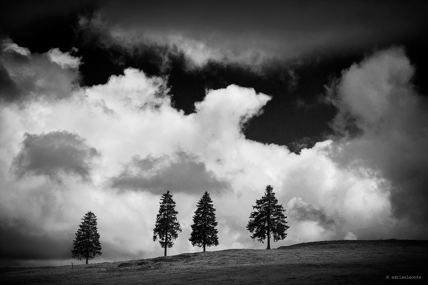 black and white photography, Lucina - Moldova Sulita